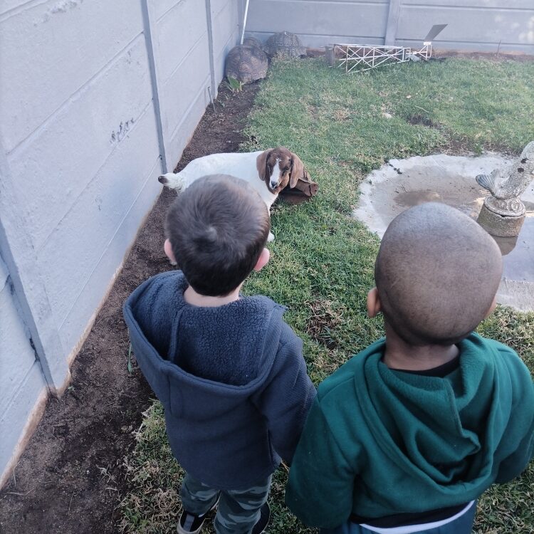 IMG_20240830_090150_resized_20250215_104519567