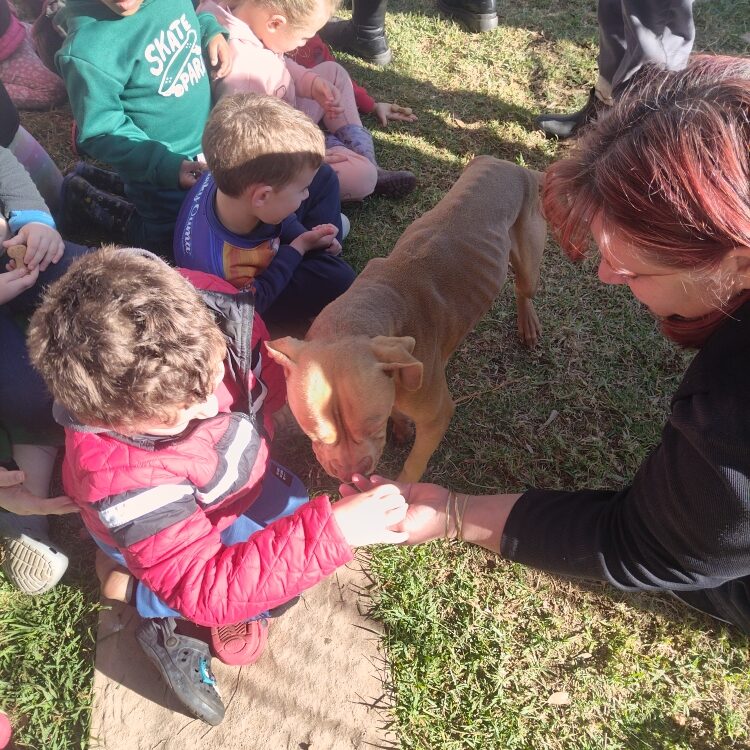 IMG_20240830_093128_resized_20250215_104350389