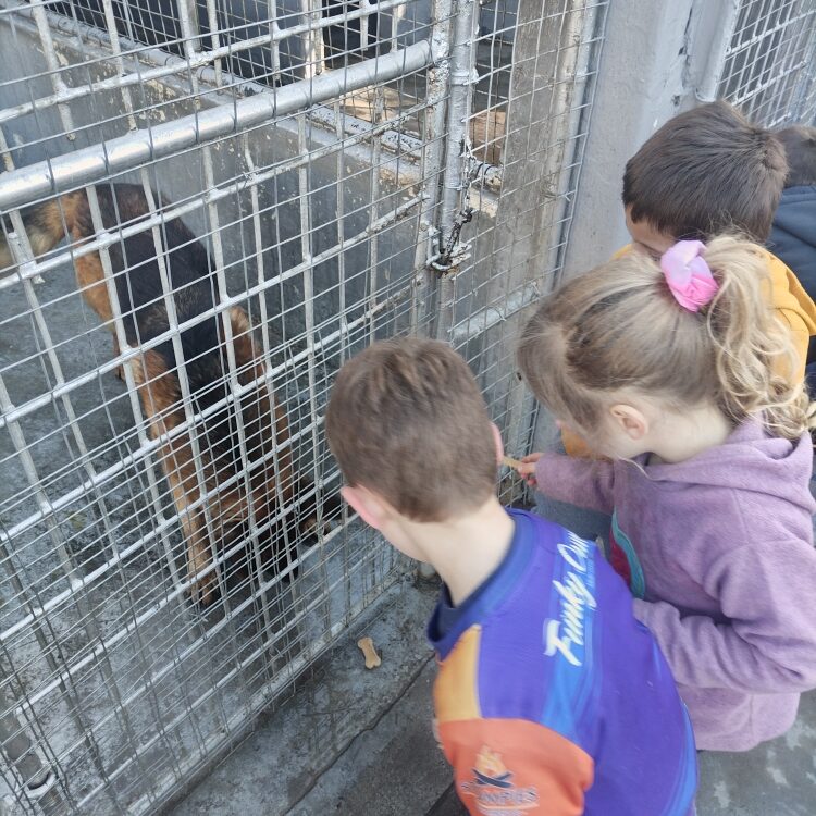 IMG_20240830_094212_resized_20250215_104441961