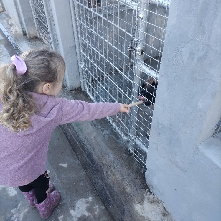 IMG_20240830_094442_resized_20250215_104519783