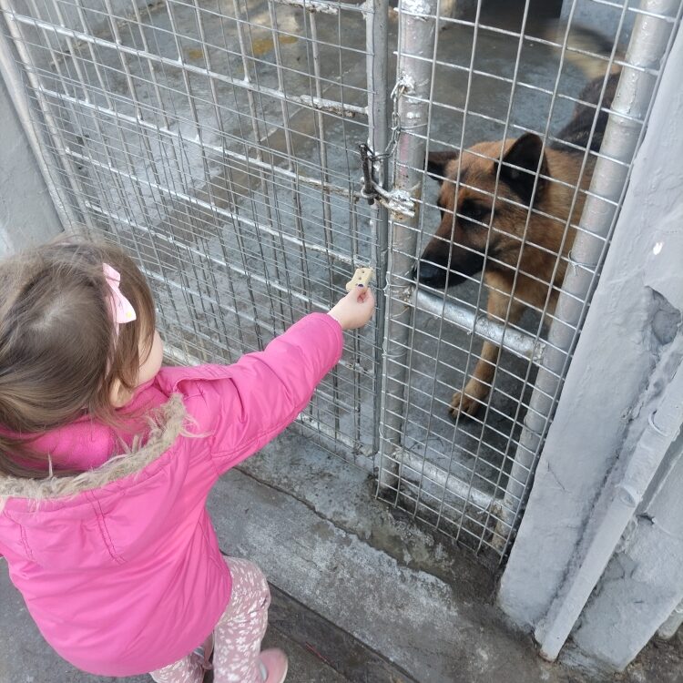 IMG_20240830_094455_resized_20250215_104520024